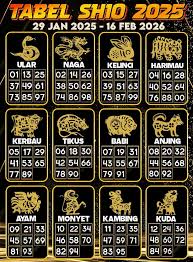 togel 4D