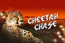 Cheetah Chase