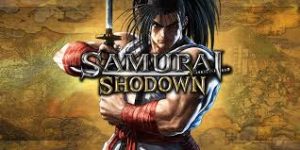 Samurai Shadow