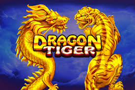 Sexy Gaming Dragon Tiger